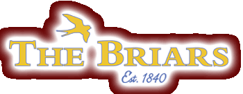 THE BRIARS RESORT Link