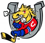 BARRIE COLTS Link
